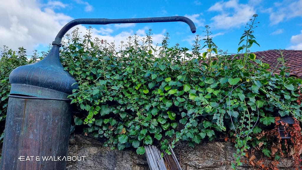 237446798_10215349032958828_8201462667747936733_n